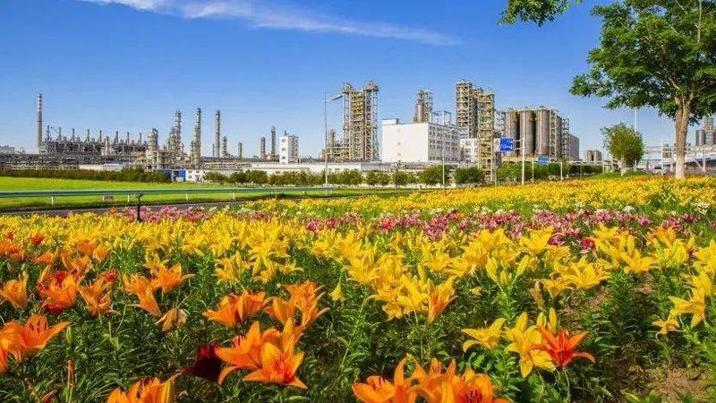 水处理添加剂：揭秘其优缺点，助力企业精准选择**